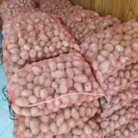 Ξεκινά διανομή 2 τόνων από πατάτες στα γραφεία του Συλλόγου Πολυτέκνων Γονέων Εορδαίας