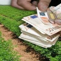 Αγρότες: Μετάταξη από το ειδικό καθεστώς στο κανονικό (εγκύκλιος) - Eordaialive.com