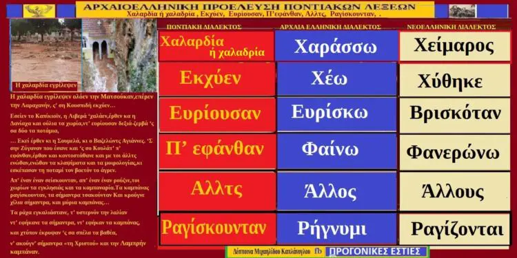 Λέξεις και φράσεις τη ποντιακής διαλέκτου με αρχαιοελληνικές ρίζες