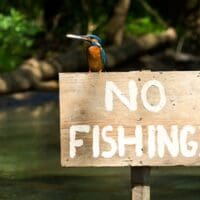 Απαγόρευση αλιείας - Λόγω αναπαραγωγής των ψαριών