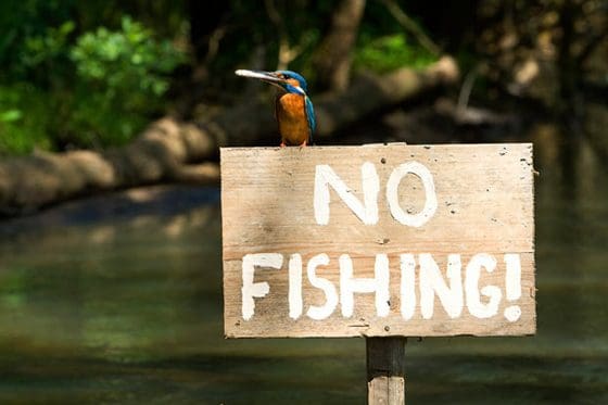 Απαγόρευση αλιείας - Λόγω αναπαραγωγής των ψαριών