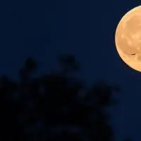«Φεγγάρι της Φράουλας»: Αύριο η 3η και τελευταία υπερπανσέληνος του 2021
