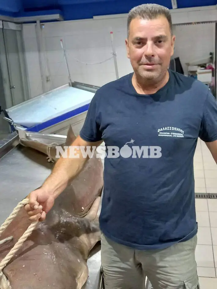 Eordaialive.com - Τα Νέα της Πτολεμαΐδας, Εορδαίας, Κοζάνης Ψαράς στο Αλεποχώρι έπιασε σκυλόψαρο 300 κιλών δίπλα σε δελφίνια!