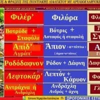 ΛΕΞΕΙΣ ΚΑΙ ΦΡΑΣΕΙΣ ΤΗΣ ΠΟΝΤΙΑΚΗΣ ΔΙΑΛΕΚΤΟΥ ΠΟΥ ΕΧΟΥΝ ΠΡΟΕΛΕΥΣΗ ΑΠΟ ΤΗΝ ΑΡΧΑΙΟΕΛΛΗΝΙΚΗ ΔΙΑΛΕΚΤΟΦιλέρ’- Βοτρύδε & σταφύλε – Απίδ’ - Ροδόδαφνον -– Λεφτοκάρ' – Αντράχνα, ή Ανδράχλη - Eordaialive.com