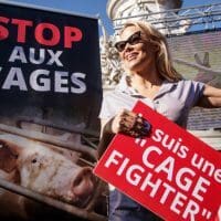 Πρόταση της Κομισιόν για τη σταδιακή κατάργηση των κλουβιών για τα εκτρεφόμενα ζώα