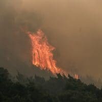 Καστοριά: Νέα πυρκαγιά στο Γράμμο – Έρευνα για εμπρησμό