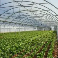 Πτολεμαΐδα: Θερμοκήπια και λαχανόκηποι στο 1ο ΕΠΑ Λ