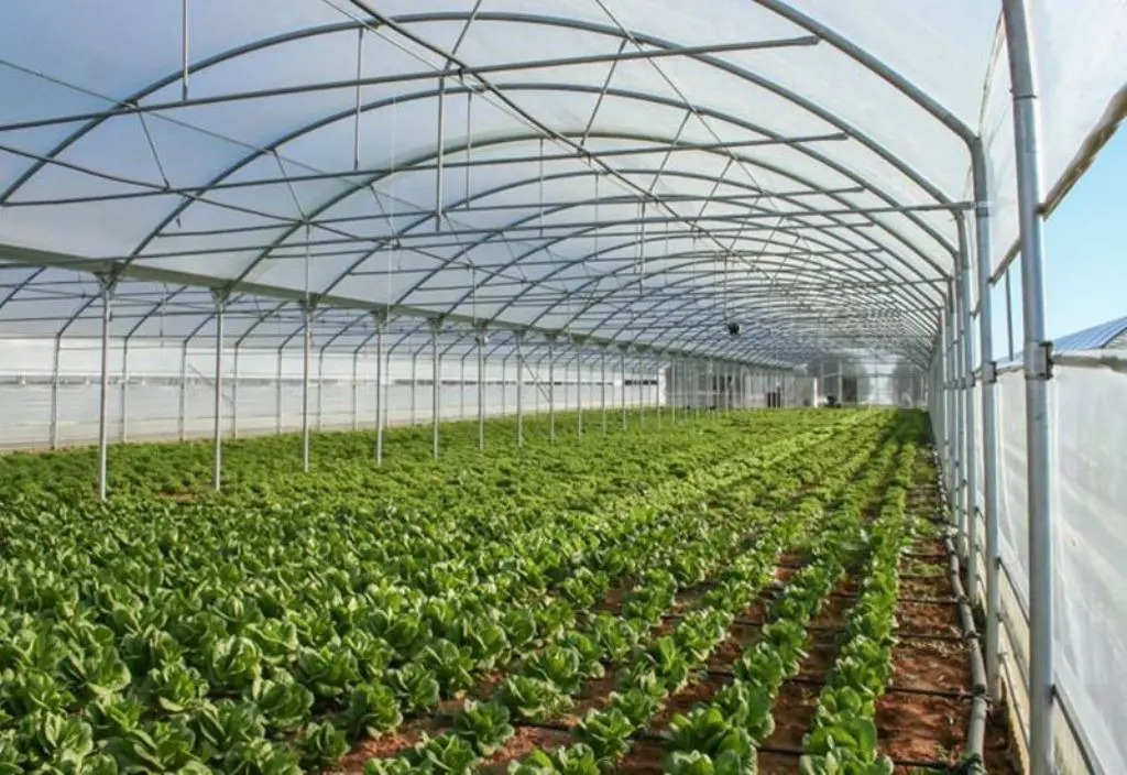 Πτολεμαΐδα: Θερμοκήπια και λαχανόκηποι στο 1ο ΕΠΑ Λ