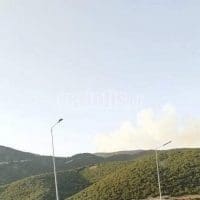 Πυρκαγιά στα όρια Ημαθίας - Κοζάνης - Eordaialive.com