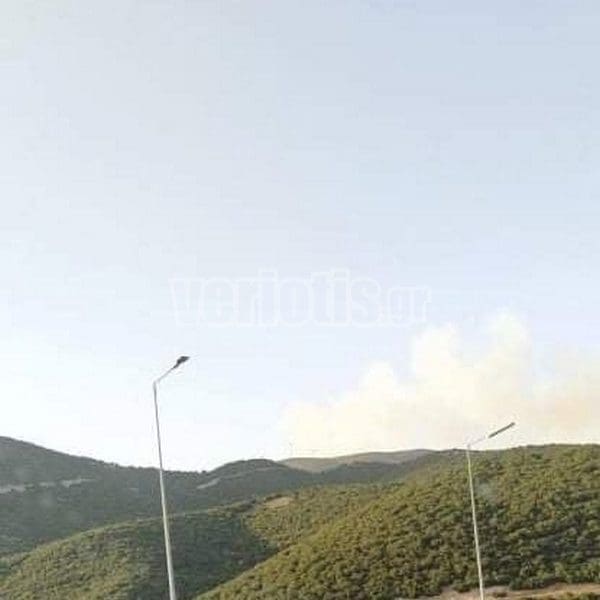Πυρκαγιά στα όρια Ημαθίας - Κοζάνης - Eordaialive.com