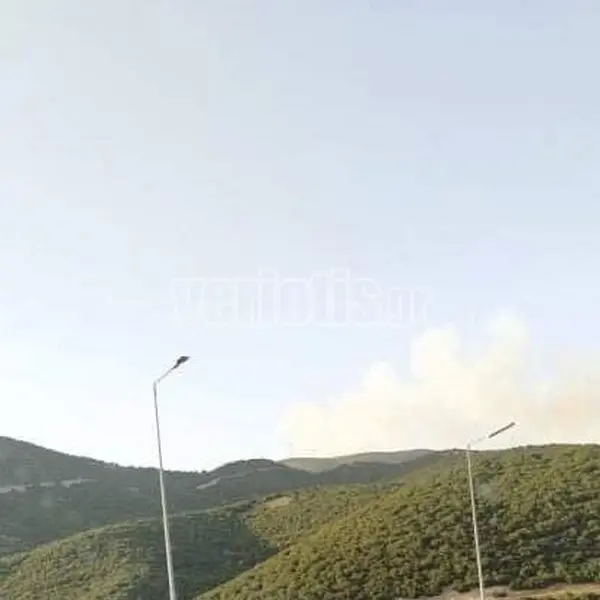 Πυρκαγιά στα όρια Ημαθίας - Κοζάνης