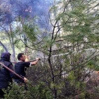 Υψηλός κίνδυνος πυρκαγιάς (κατηγορία κινδύνου 3) προβλέπεται στην Π.Ε Κοζάνης για αύριο Παρασκευή 19 Ιουλίου - Eordaialive.com