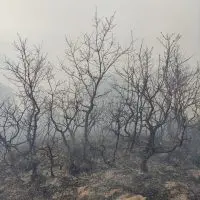 Eordaialive.com - Τα Νέα της Πτολεμαΐδας, Εορδαίας, Κοζάνης eordaialive.com: Πυρκαγιά στο πεδίο βολής Μεσοβούνου Εορδαίας (φωτο - βίντεο)