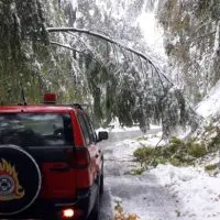 Μπάλλος: Πέφτουν δέντρα στο Βίτσι – Οδηγός απεγκλωβίστηκε από την Πυροσβεστική (εικόνες)