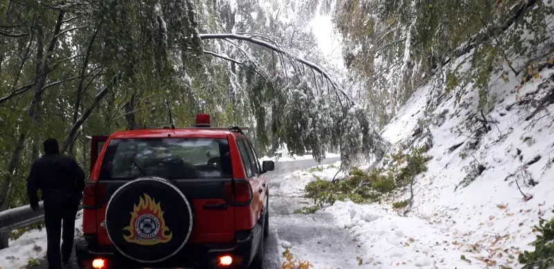 Μπάλλος: Πέφτουν δέντρα στο Βίτσι – Οδηγός απεγκλωβίστηκε από την Πυροσβεστική (εικόνες)