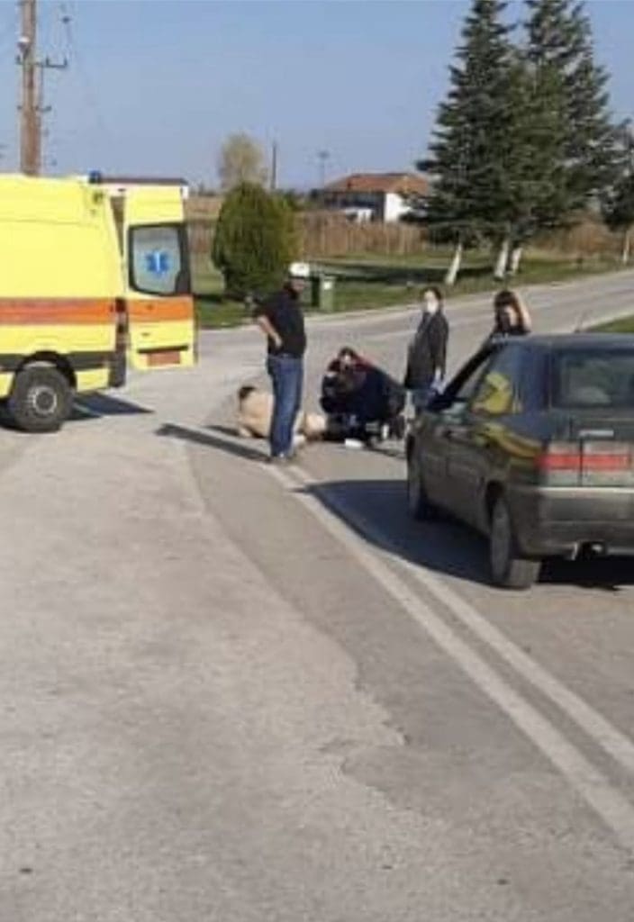 Λιμνοχώρι : Αδέσποτα επιτέθηκαν και τραυμάτισαν 80χρονη (φωτογραφία)