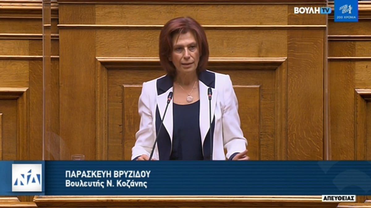Ομιλία Π. Βρυζίδου για το ν/σ του Υπουργείου Υγείας για την ενίσχυση και την αναβάθμιση των υποδομών στον τομέα της υγείας - Eordaialive.com