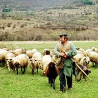 ΣΥΡΙΖΑ- Ν.Ε. ΚΟΖΑΝΗΣ: Η κυβέρνηση της ΝΔ καρατομεί τις επιδοτήσεις των αγροτών  (Με αφορμή τη πληρωμή της Βασικής Ενίσχυσηςτων αγροτών)