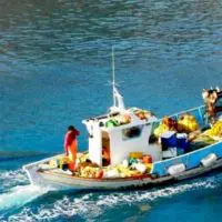 Ανανέωση των αδειών σκαφών επαγγελματικής αλιείας στην Π.Ε. Κοζάνης