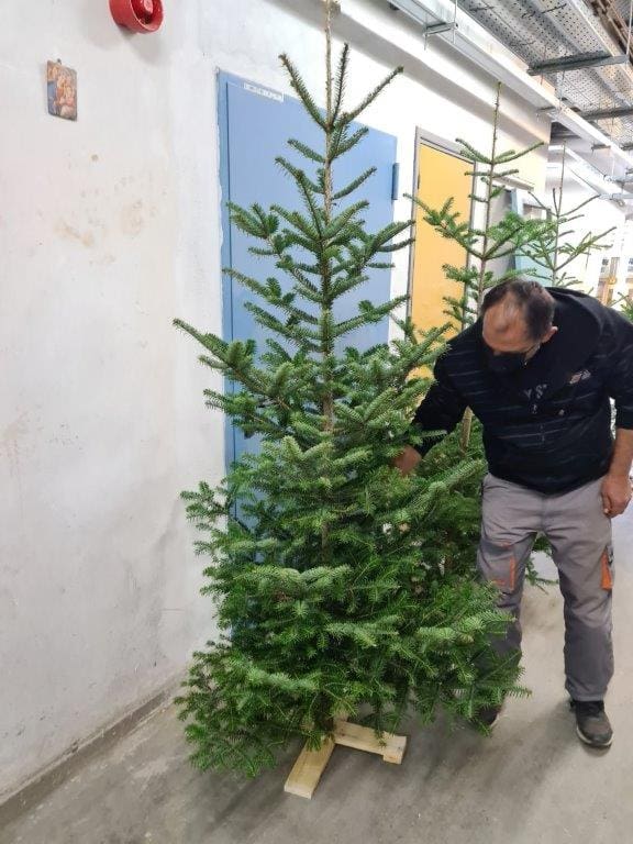 Μποδοσάκειο: Χριστουγεννιάτικα δέντρα στολίστηκαν και κοσμούν τους κοινόχρηστους χώρους του νοσοκομείου - Ευχαριστήριο