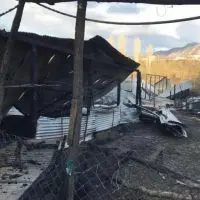 Καστοριά: Φωτιά κατέστρεψε ολοσχερώς κτηνοτροφική μονάδα – Έκκληση για βοήθεια