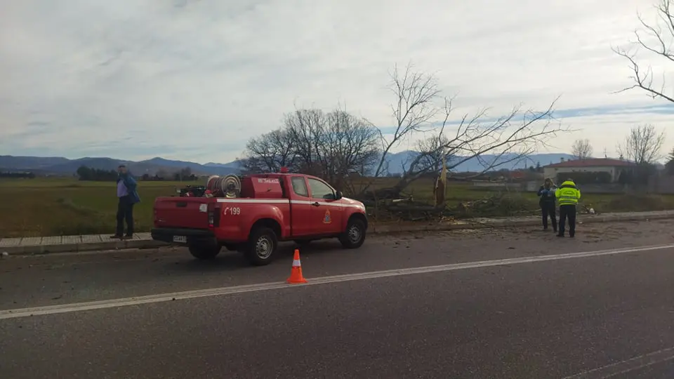 Eordaialive.com - Τα Νέα της Πτολεμαΐδας, Εορδαίας, Κοζάνης Σοβαρό τροχαίο ατύχημα στο δρόμο Κοζάνης-Κρόκου – ΙΧ έπεσε σε δέντρο-Στο Μαμάτσειο σε κρίσιμη κατάσταση ο 18χρονος οδηγός-Φωτογραφίες