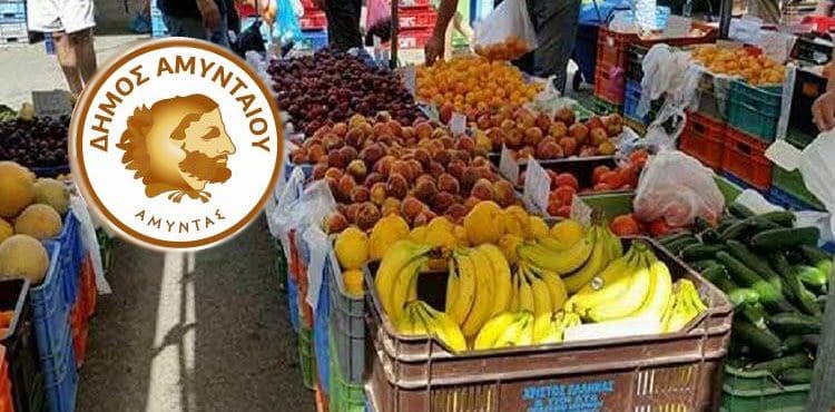 « Δραστηριοποίηση των πωλητών ( παραγωγών - επαγγελματιών διατροφικών - βιομηχανικών προϊόντων ) λαϊκής αγοράς του Δήμου Αμυνταίου ».