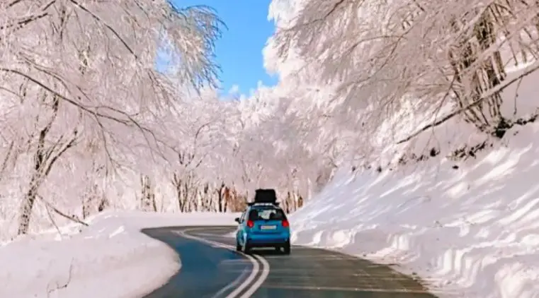 Φλώρινα: Η ονειρική ομορφιά ενός χιονισμένου δρόμου έγινε το απόλυτο viral