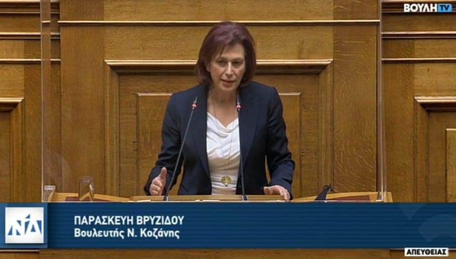 Oμιλία της Παρασκευής Βρυζίδου Βουλευτή Ν. Κοζάνης κατά τη συζήτηση επί της πρότασης δυσπιστίας κατά της Κυβέρνησης