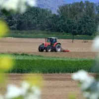 Ε.Ε.: "Πράσινο φως" σε ελληνικό πρόγραμμα 31,5 εκατ. ευρώ για αγροτικούς παραγωγούς - Ποιους αφορά