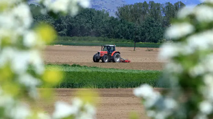Ε.Ε.: "Πράσινο φως" σε ελληνικό πρόγραμμα 31,5 εκατ. ευρώ για αγροτικούς παραγωγούς - Ποιους αφορά