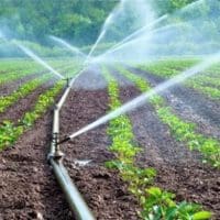 Αναρτήθηκαν στη Διαύγεια οι δυο νέες Προσκλήσεις για τη Δράση 10.1.04 «Μείωση της ρύπανσης νερού από γεωργική δραστηριότητα»