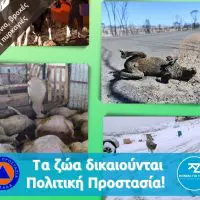 Κόμμα για τα Ζώα: Οι αλλαγές στην Πολιτική Προστασία είναι ευκαιρία για την προστασία των ζώων στις φυσικές καταστροφές