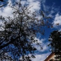 Ανεβαίνει σήμερα η θερμοκρασία - Eordaialive.com