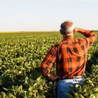 Έρχεται νέο «πακέτο» μέτρων για τους αγρότες - Αποφάσεις για φθηνό πετρέλαιο, μείωση ΦΠΑ και δόσεις στον φόρο