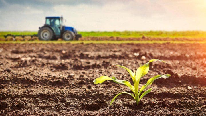 Aγροτικά προϊόντα: Στο ΦΕΚ οι συνδεδεμένες ενισχύσεις