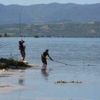 11,7 κιλά ο μεγαλύτερος κυπρίνος στο φεστιβάλ αλιείας που διοργάνωσε ο Αθλητικός Σύλλογος Ερασιτεχνών Αλιέων Πτολεμαΐδας-Μετονομασία σε «Σάκης Τζουράς»