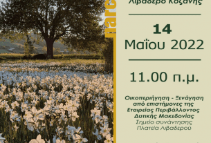 Πρόσκληση για περίπατο σε λιβάδι από Νάρκισσους στο Λιβαδερό Κοζάνης