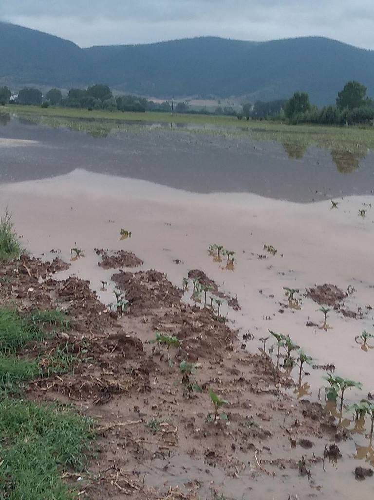 Πτολεμαΐδα: Υπερχείλισε η Περιφερειακή τάφρος και πλημμύρισαν χιλιάδες καλλιέργειες