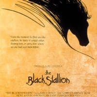 Με την ταινία “The black stallion (1979) / Το μαύρο Άλογο ” συνεχίζονται οι προβολές ταινιών της Βιβλιοθήκης την Παρασκευή 15 Ιουλίου στις 9.15 μ.μ.