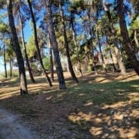 Δήμος Κοζάνης: Υπογραφή σύμβασης για τη μελέτη διαμόρφωσης του Ανατολικού Τμήματος Πάρκου Αγίου Δημητρίου Κοζάνης