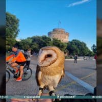 Θεσσαλονίκη: Αντιδράσεις για τον άντρα που βγήκε βόλτα στον Λ.Πύργο με μία κουκουβάγια στο χέρι