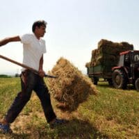 Δημοσιεύτηκε η απόφαση για την κατά 50% απαλλαγή φόρου εισοδήματος συνεταιρισμένων αγροτών