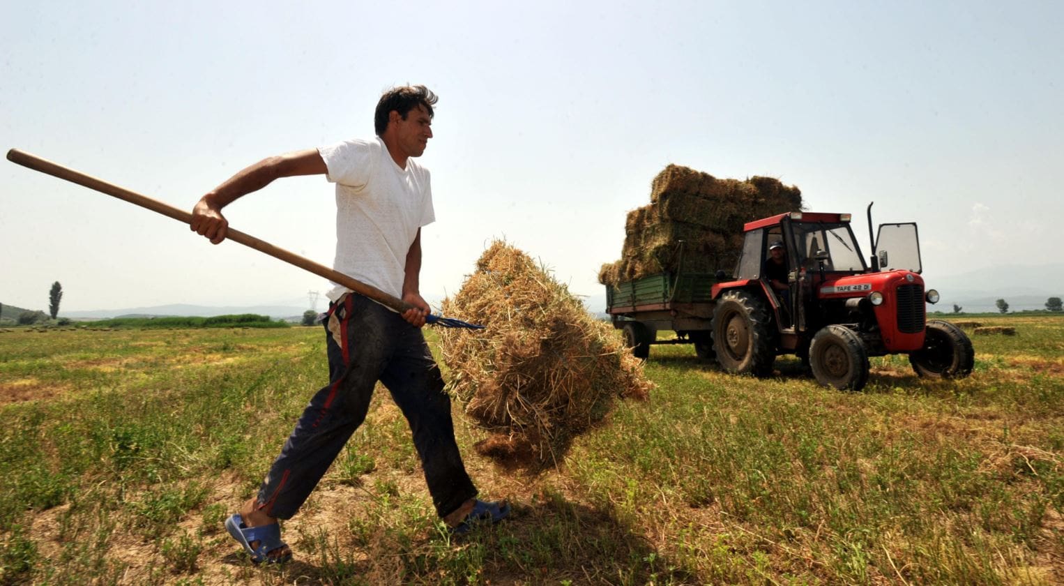 Δημοσιεύτηκε η απόφαση για την κατά 50% απαλλαγή φόρου εισοδήματος συνεταιρισμένων αγροτών