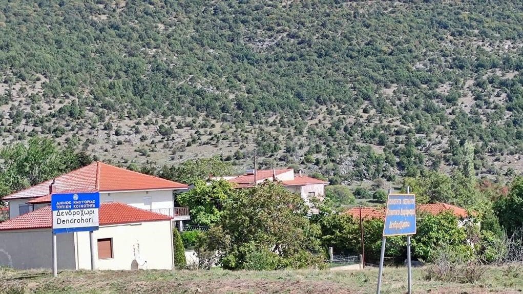 Καστοριά: Στο αυτόφωρο για τις ψευδείς καταθέσεις ο γιος της 82χρονης που βρέθηκε θαμμένη