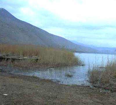 Ύποπτος χώρος για ύπαρξη παλαιών πυρομαχικών στην παραλία της λίμνης Πετρών Δήμου Αμυνταίου