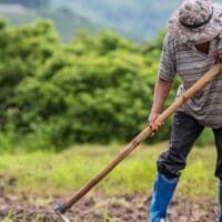 Αγρότες: Τι φέρνει η νέα ΚΑΠ 2023-2027