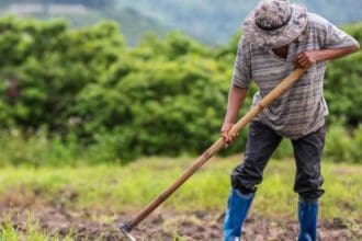 Αγρότες: Τι φέρνει η νέα ΚΑΠ 2023-2027