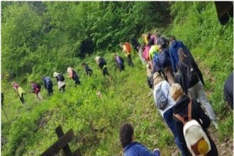 Eγκρίθηκε το έργο κατασκευής ορεινού πεζοπορικού μονοπατιού στη θέση "Παλιάμπελα"