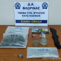 Συνελήφθησαν δύο ημεδαποί σε περιοχή της Φλώρινας για παράβαση της νομοθεσίας περί ναρκωτικών και περί όπλων  